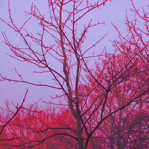 I Always Get Hooked (Explicit)