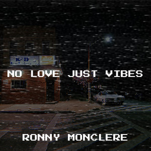 No Love Just Vibes (Explicit)