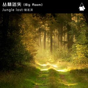 丛林迷失（Jungle lost）