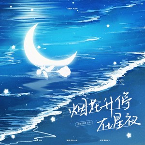 烟花升停在星夜