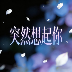 突然想起你 (烟嗓走心版)