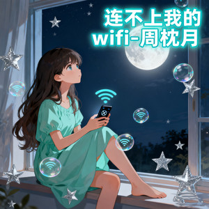 连不上我的wifi