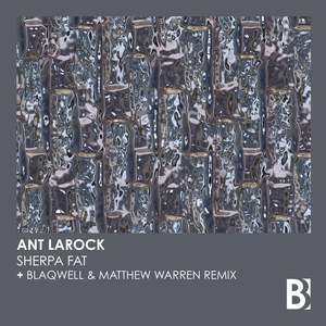 Ant LaRock - Sherpa Fat (Blaqwell & Matthew Warren Extended Remix)