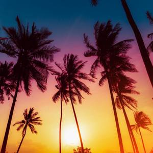 Chasin' My Dreams (Explicit)