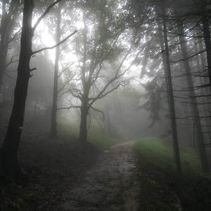 The Mountain (River Session)