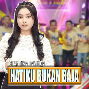 Hatiku Bukan Baja