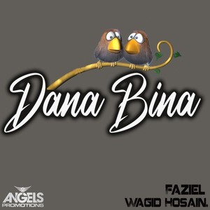 Dana Bina