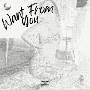 Want from You (Explicit)