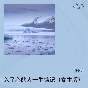 入了心的人一生惦记-沫小七