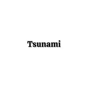 Tsunami (feat. Silvizo) (Parody) (Explicit)