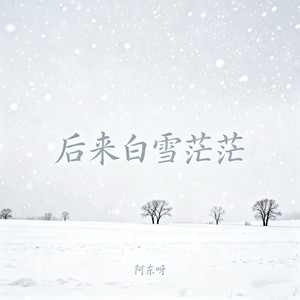 后来白雪茫茫