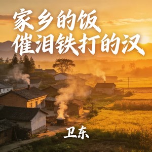 家乡的饭催泪铁打的汉