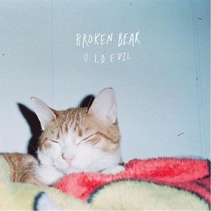Mire-Broken Beak