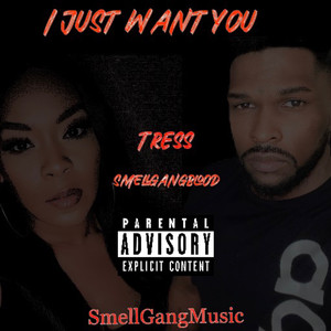 I Just Want You (Explicit)