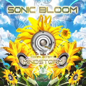 15000 Micrograms (DualCore Rmx)