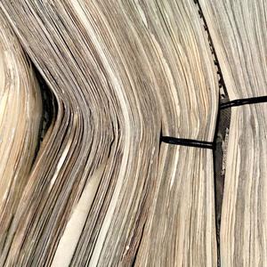 Pizzle Mane (Explicit)