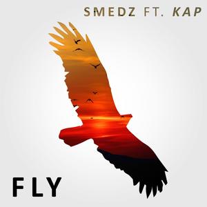 Fly (feat. Kap)