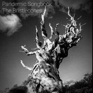 Pandemic Songbook