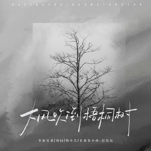 大风吹倒梧桐树