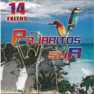 14 Exitos