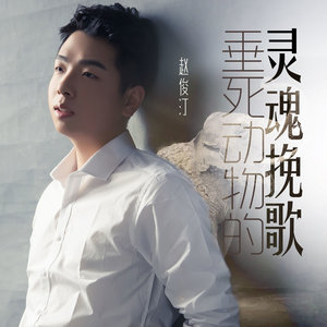 赵俊汀 - 垂死动物的灵魂挽歌