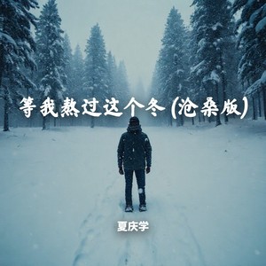 等我熬过这个冬 (沧桑版)