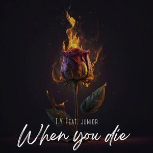 When You Die (feat. T.Y Music) [Radio Edit]