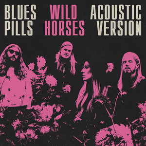 Wild Horses - Acoustic