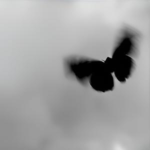 surreal_compilation (Explicit)