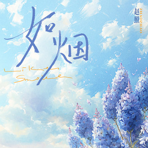 如烟-赵照