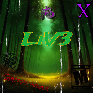 LiV3 (Explicit)