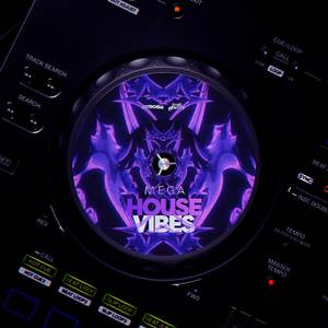 Mega House Vibes (Explicit)