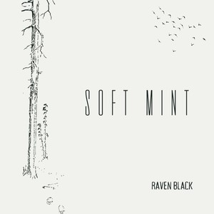 Soft Mint