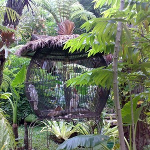 白いワルツ (Inst.)