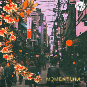 Momentum