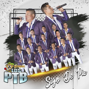 Si Te Pudiera Mentir