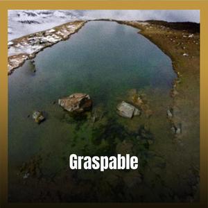 Graspable