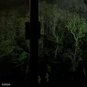 Look At The Moon (feat. Vick!) (Explicit)