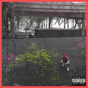 WHO BOUT IT (Explicit)