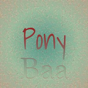 Pony Baa