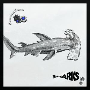 SHARKS (feat. Whyandotte) (Explicit)