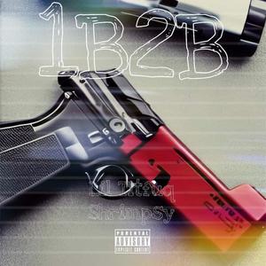 1B2B (feat. Shrimpsy) [Explicit]