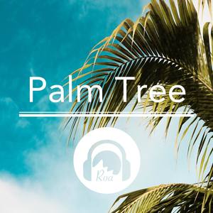 Palm Tree