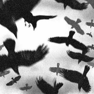 let's get out of here (Explicit)