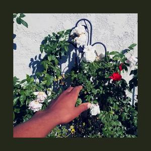 ****ing young/ perfect but it's lofi(feat. Yalett) (Explicit)