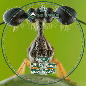 Move Along (Original Mix)