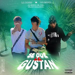 Se que le gustan (feat. Dlesvn & Alesito el del flow maldito)