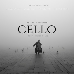 Cello Concerto No. 1 in C Major, Hob. VIIb:1: III. Allegro Molto