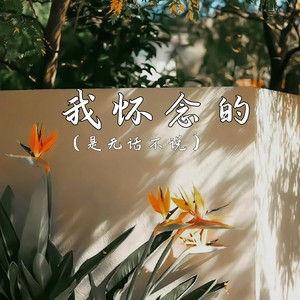 我怀念的 (是无话不说)