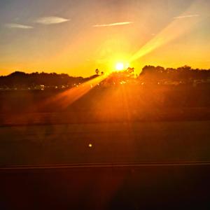 I can't help myself (slowed) (Explicit)